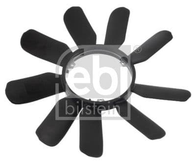 Fan göbeği — görsel 1
