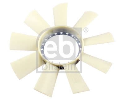 Fan göbeği