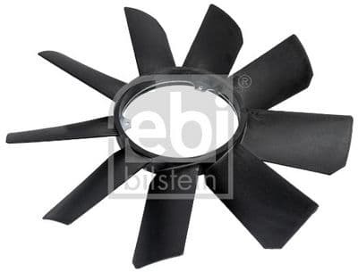 Fan göbeği