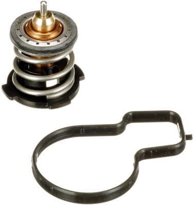 Termostat, soğutma sıvısı