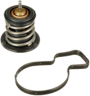 Termostat, soğutma sıvısı